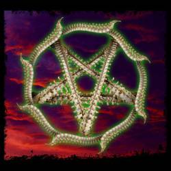 Spinesplitter : To Bear the Mark